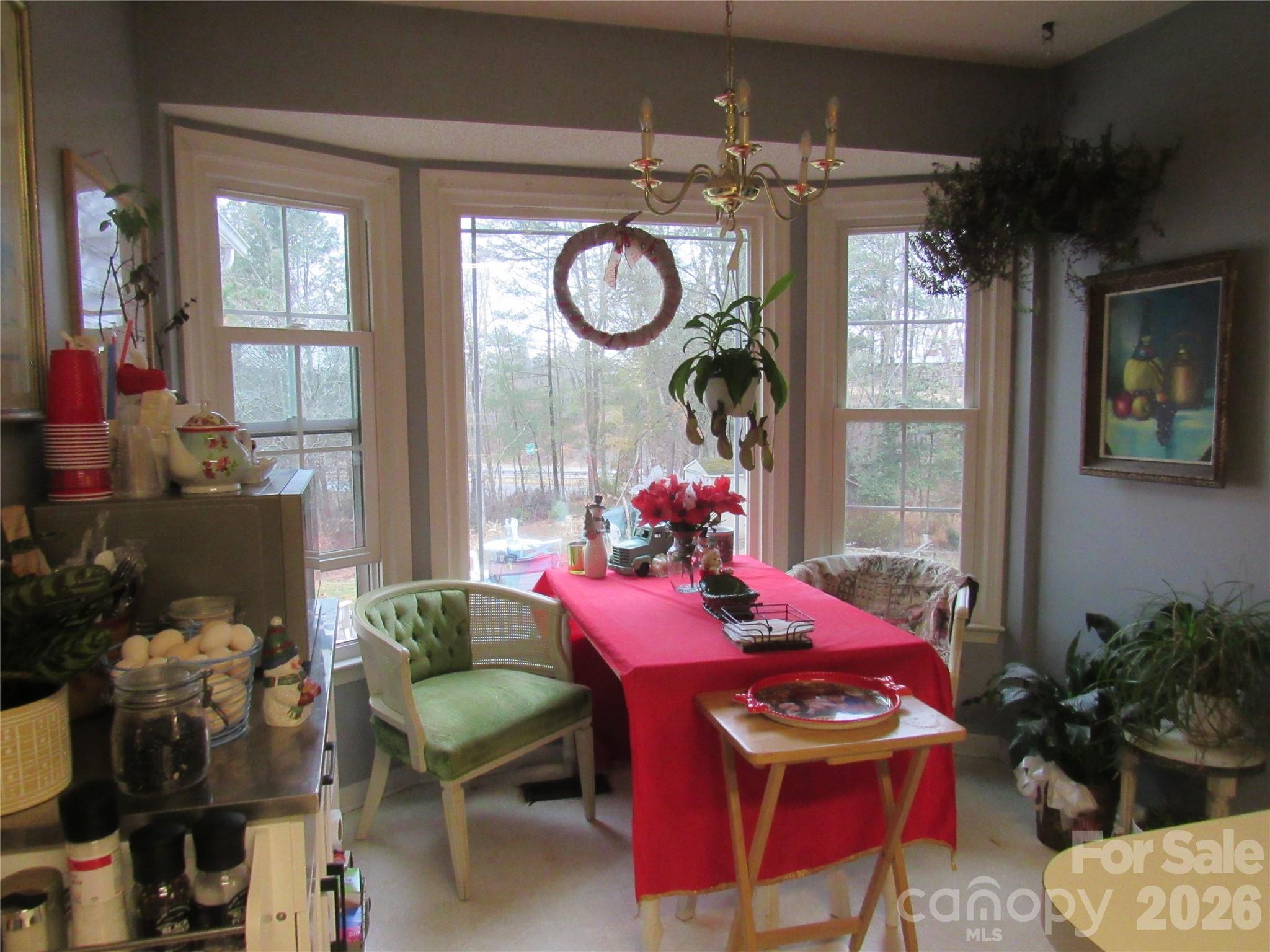 19 Westminster Drive Asheville NC 28804