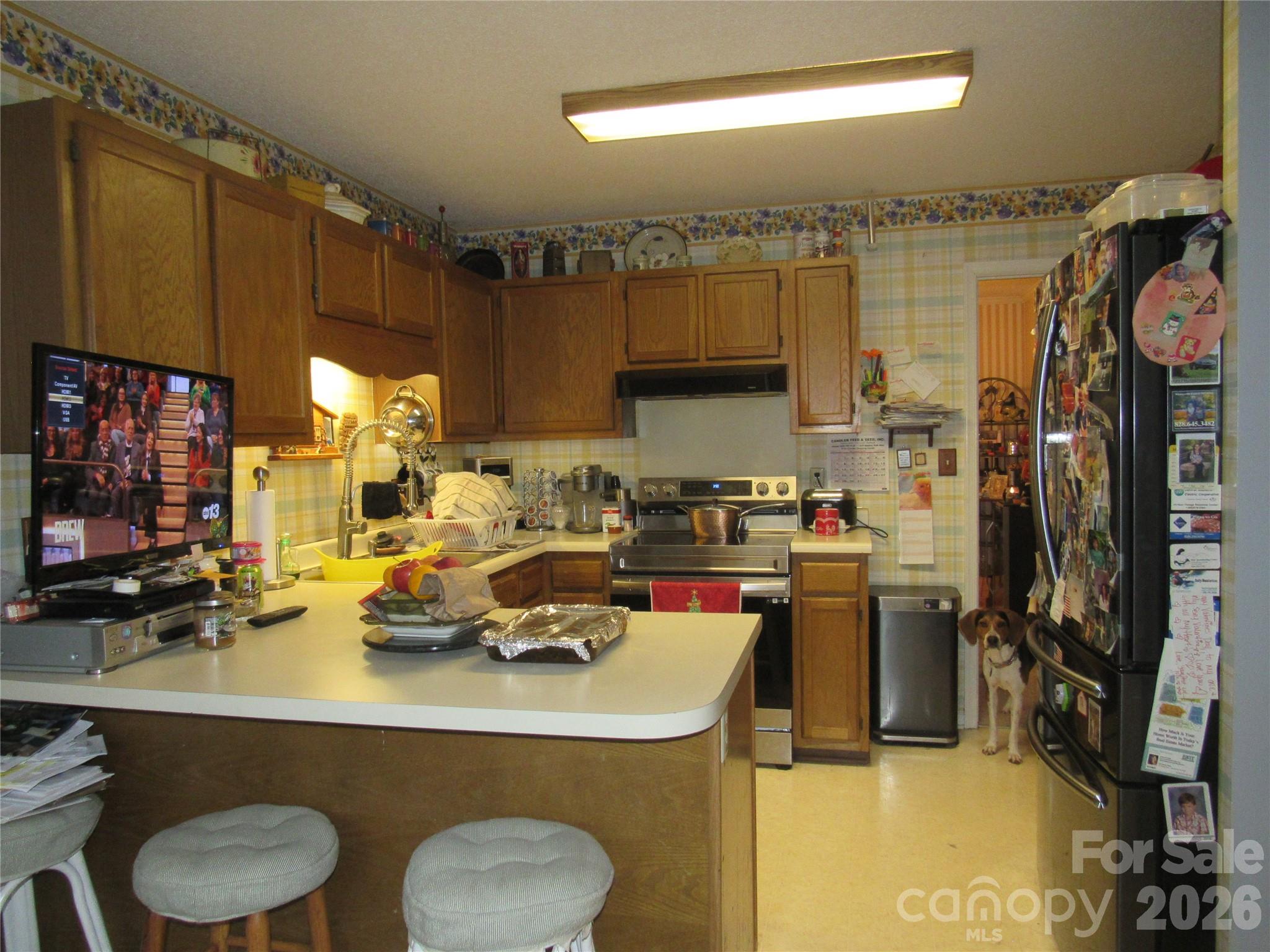 19 Westminster Drive Asheville NC 28804