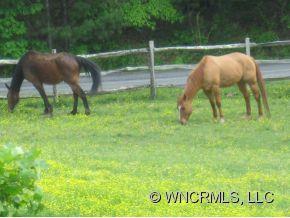 8 Bonnie Brae Drive Weaverville NC 28787