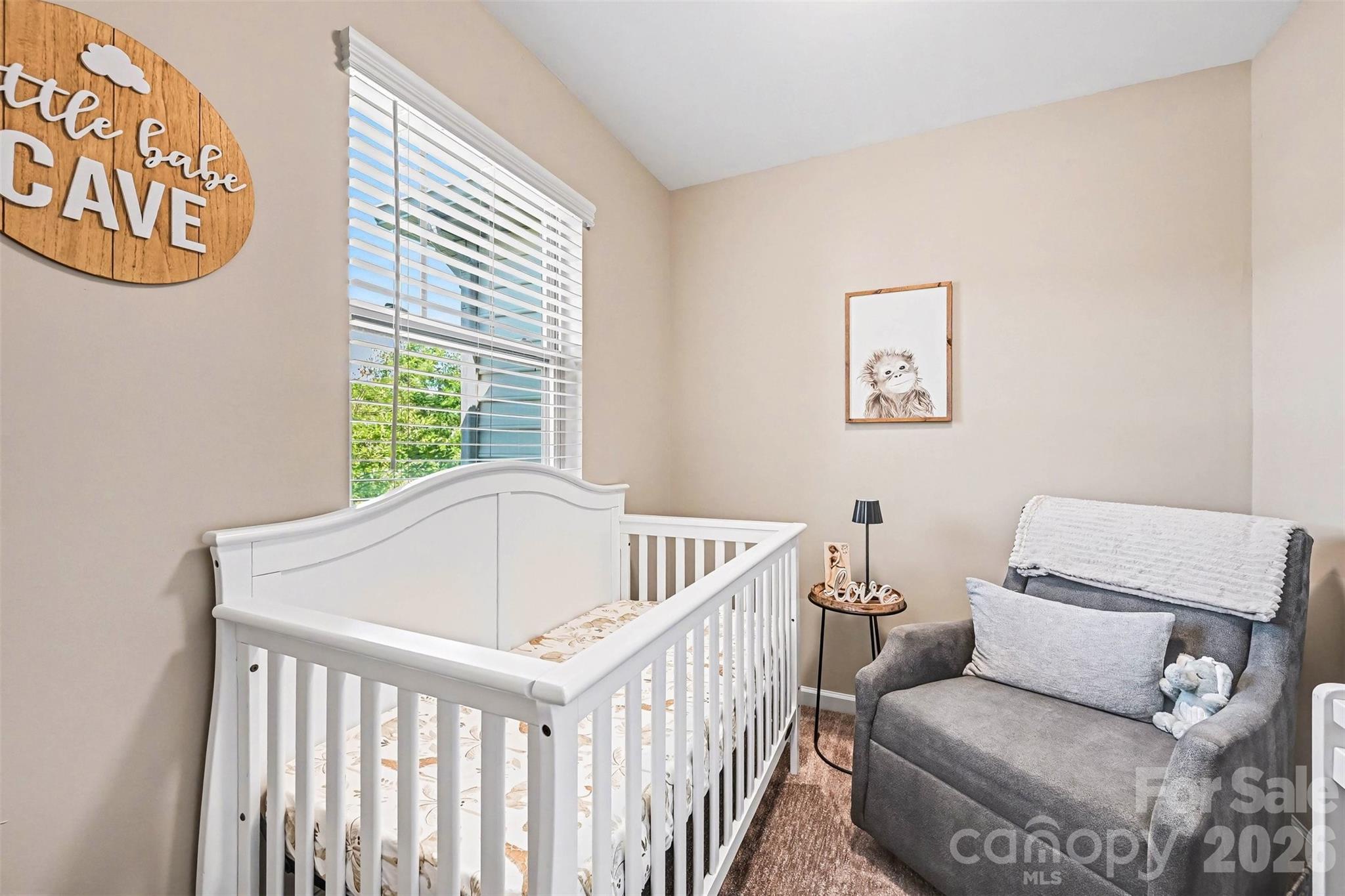 509 Common Raven Court Fort Mill SC 29715