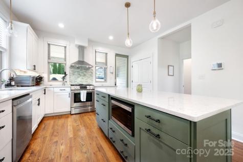 11 Elkmont Drive Asheville NC 28804