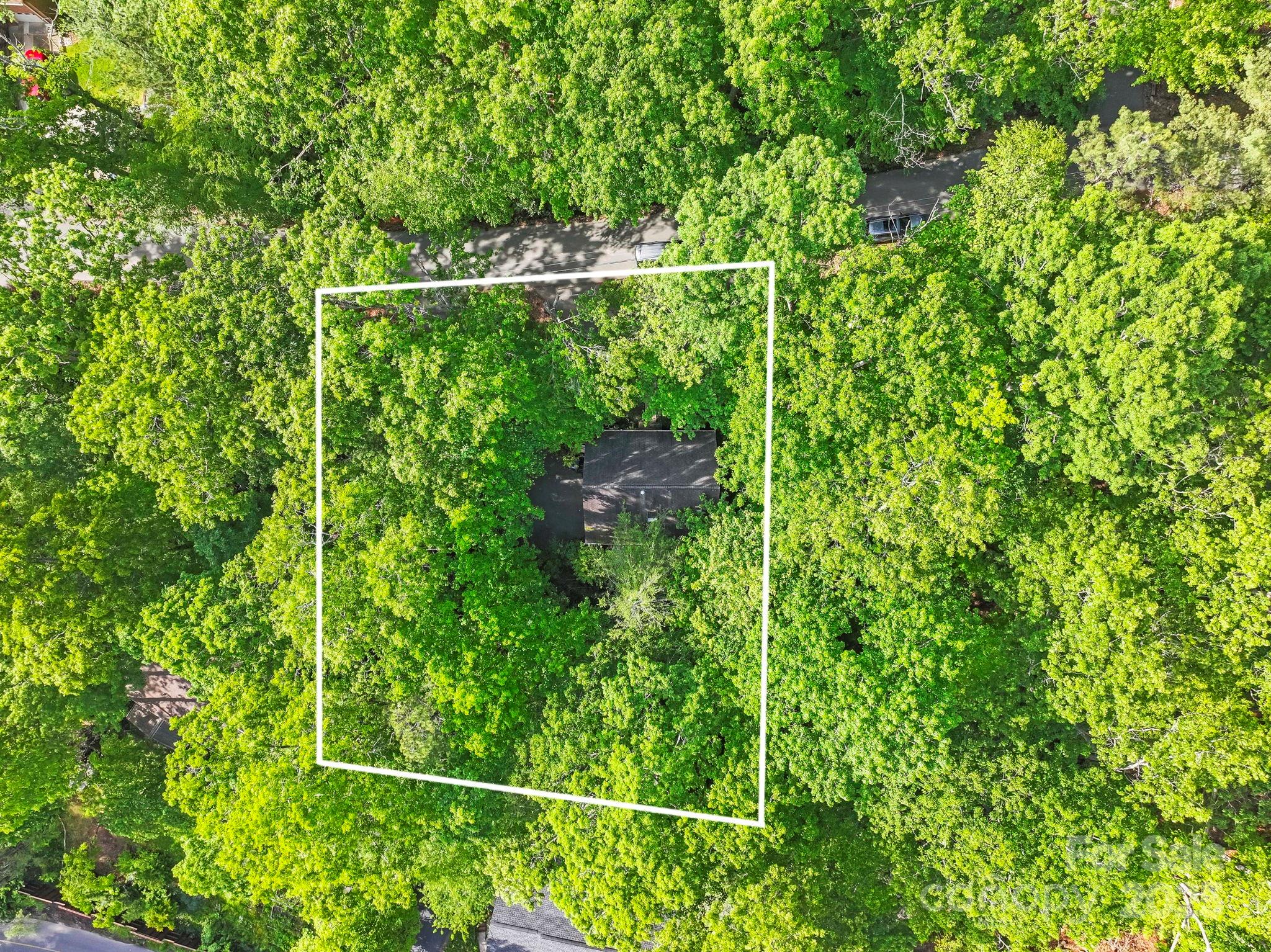 124 Hilltop Road Black Mountain NC 28711