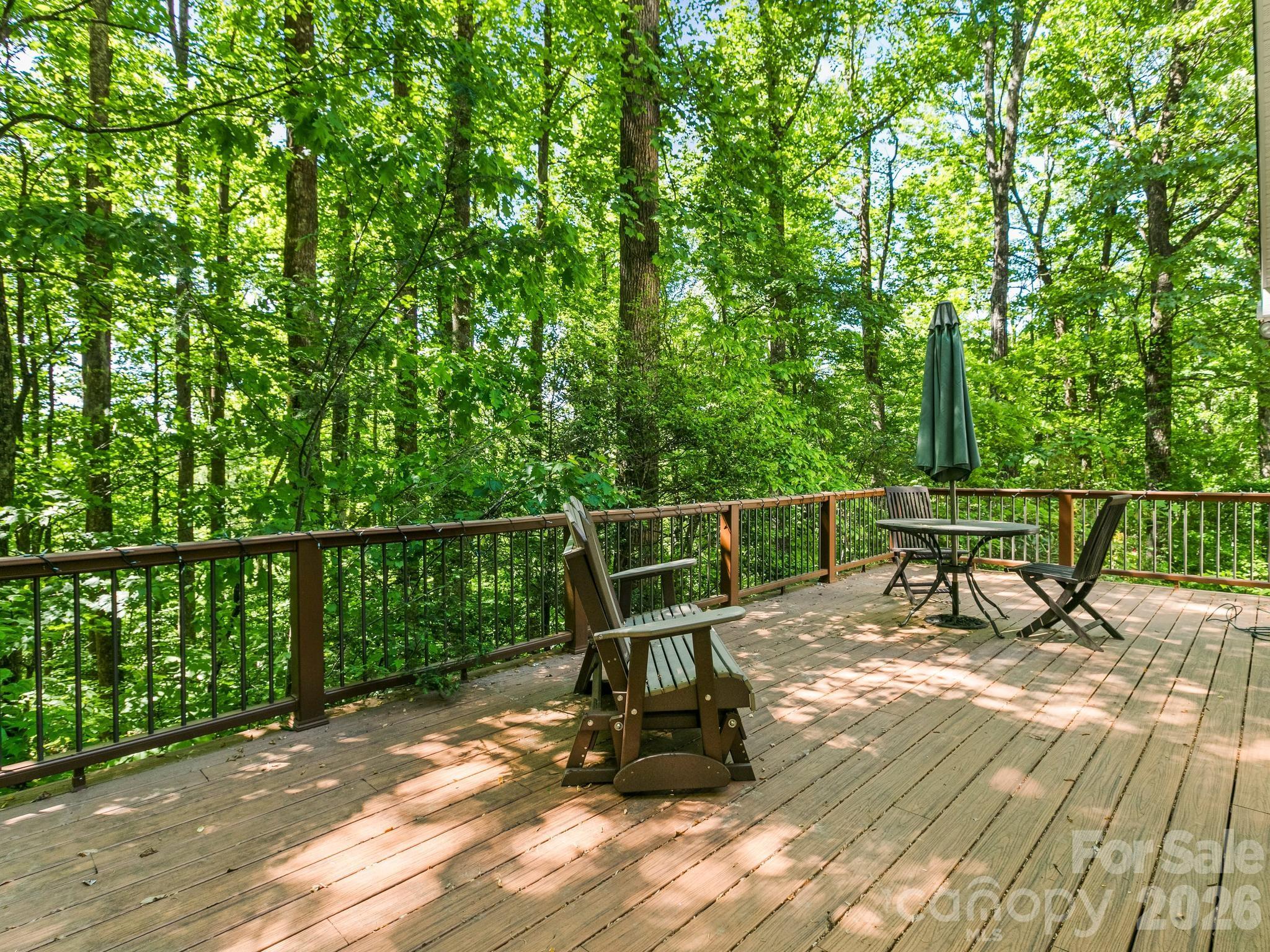 160 Little Mine Mountain Drive Saluda NC 28773