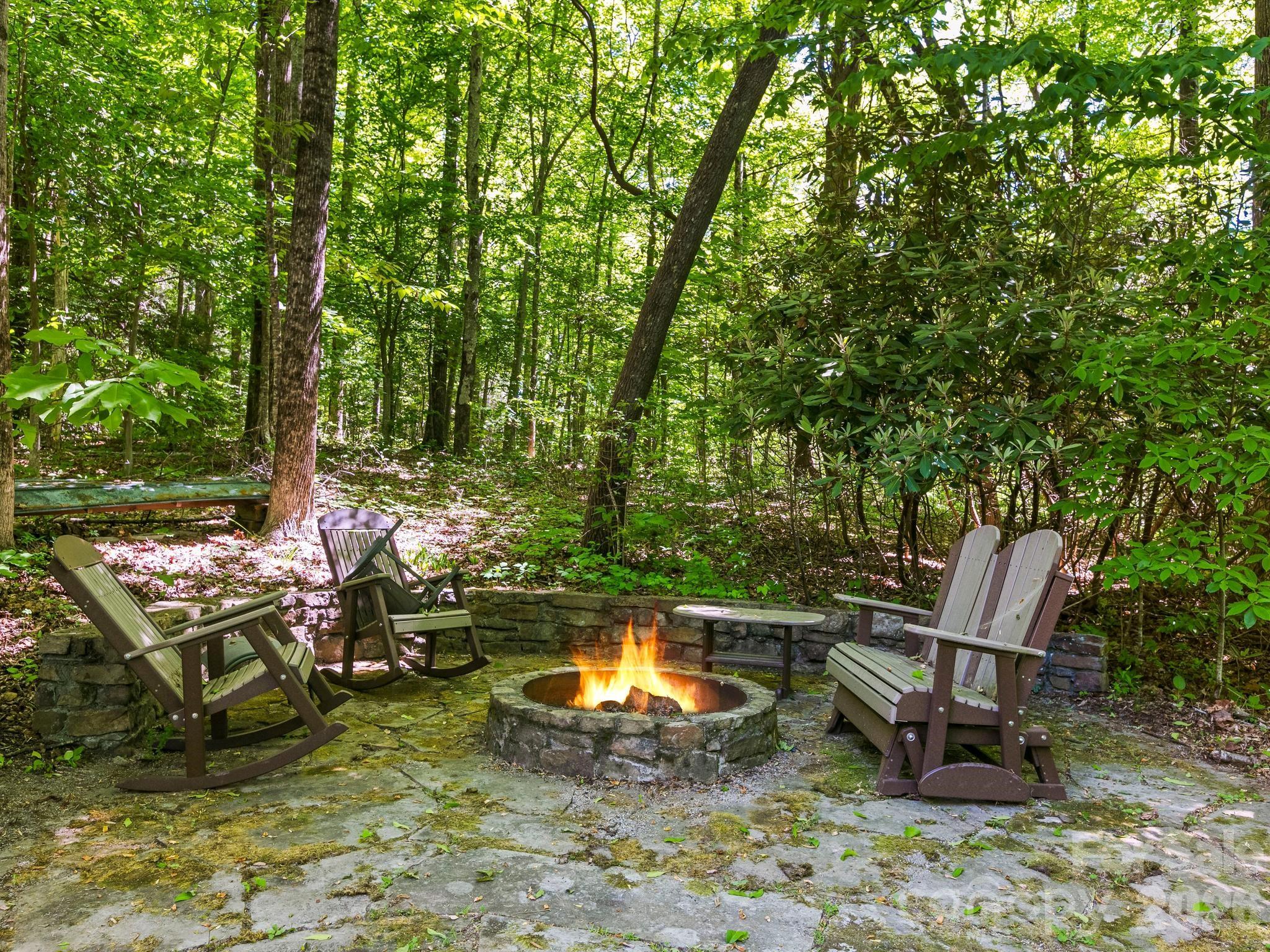160 Little Mine Mountain Drive Saluda NC 28773