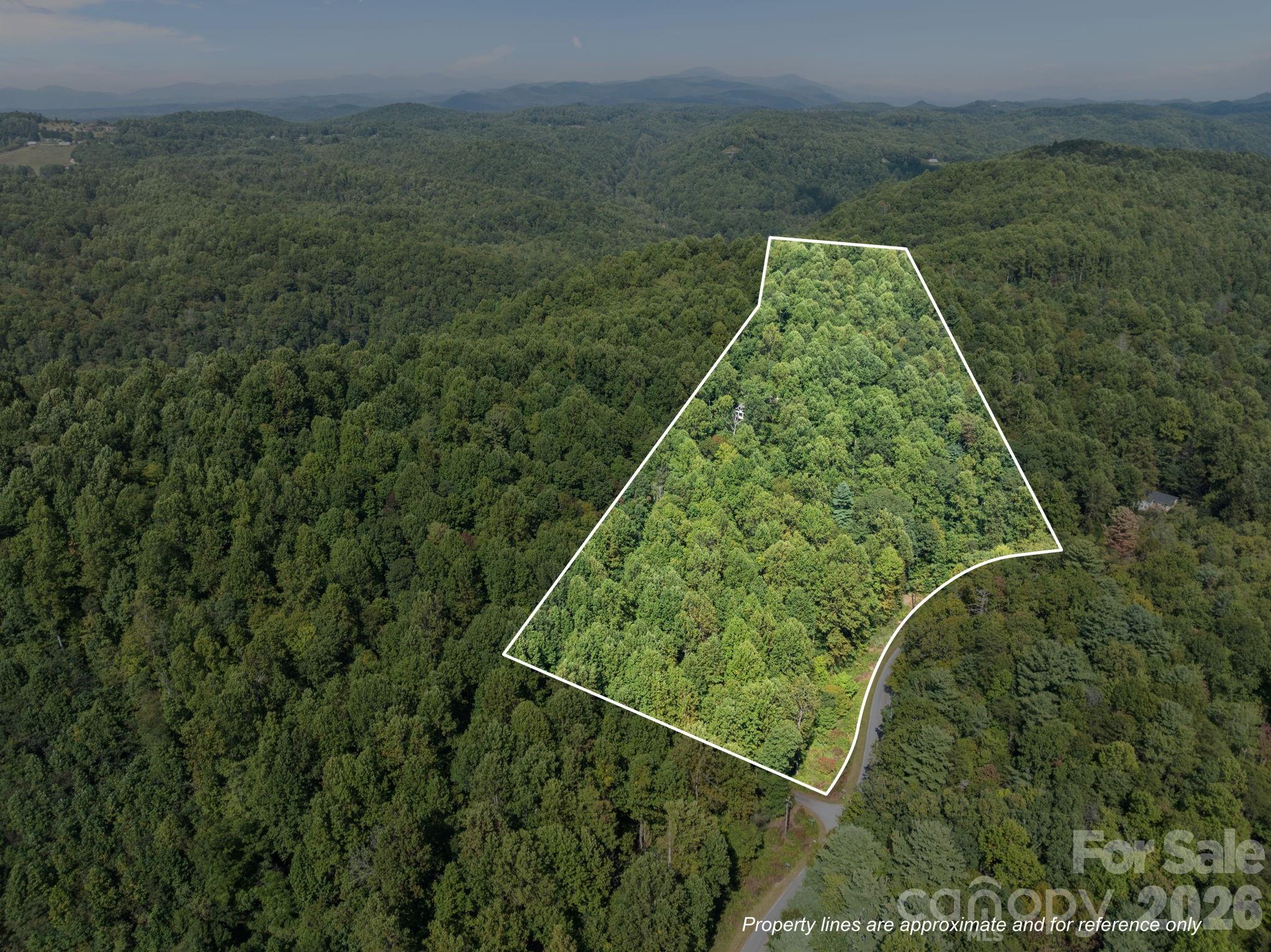 160 Little Mine Mountain Drive Saluda NC 28773