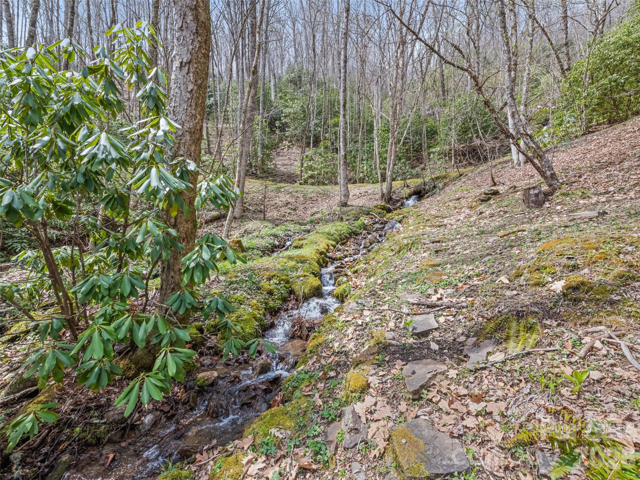 57 Grosbeak Trail Sylva NC 28779