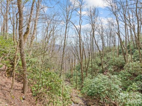 57 Grosbeak Trail Sylva NC 28779