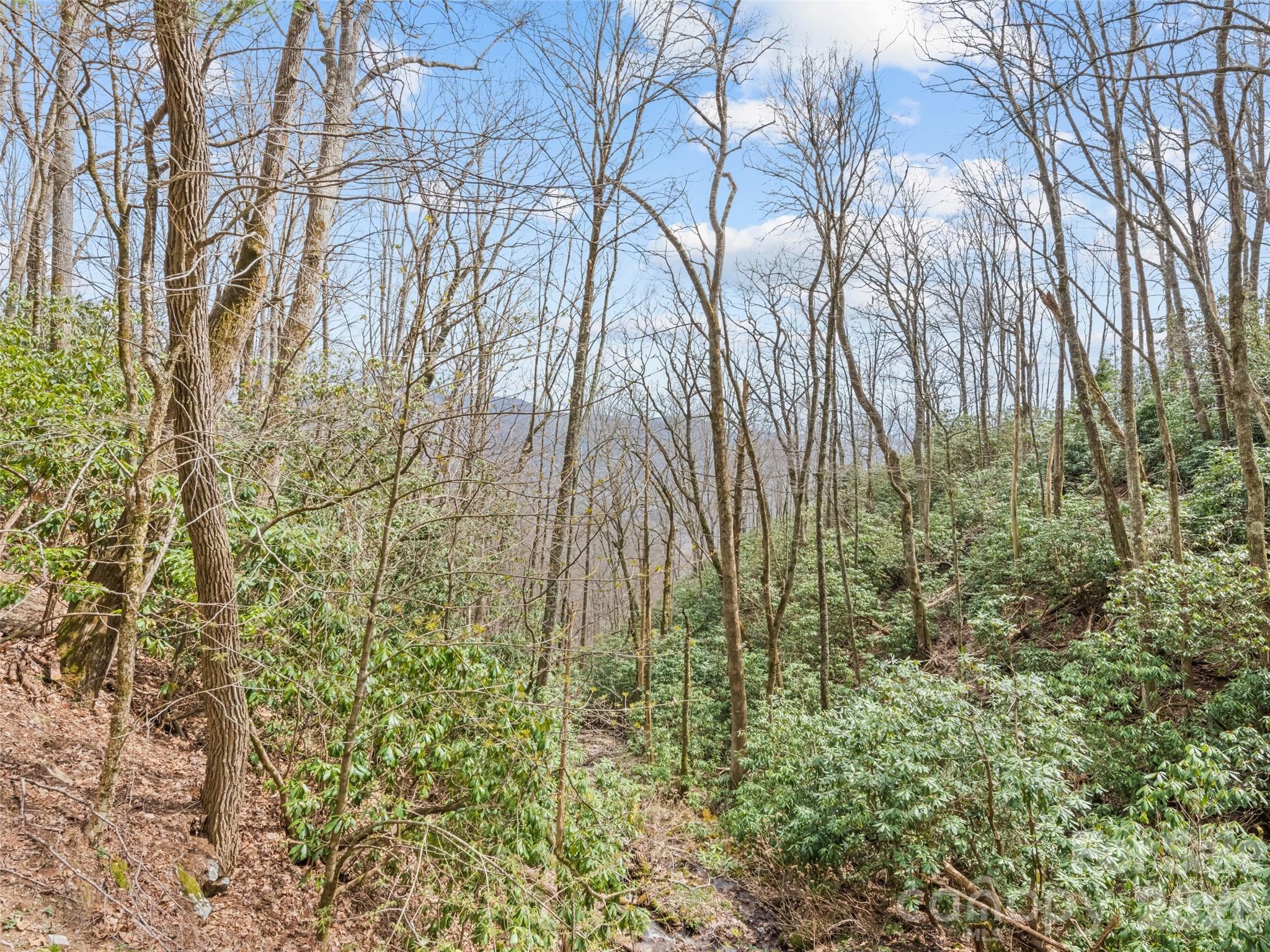 57 Grosbeak Trail Sylva NC 28779