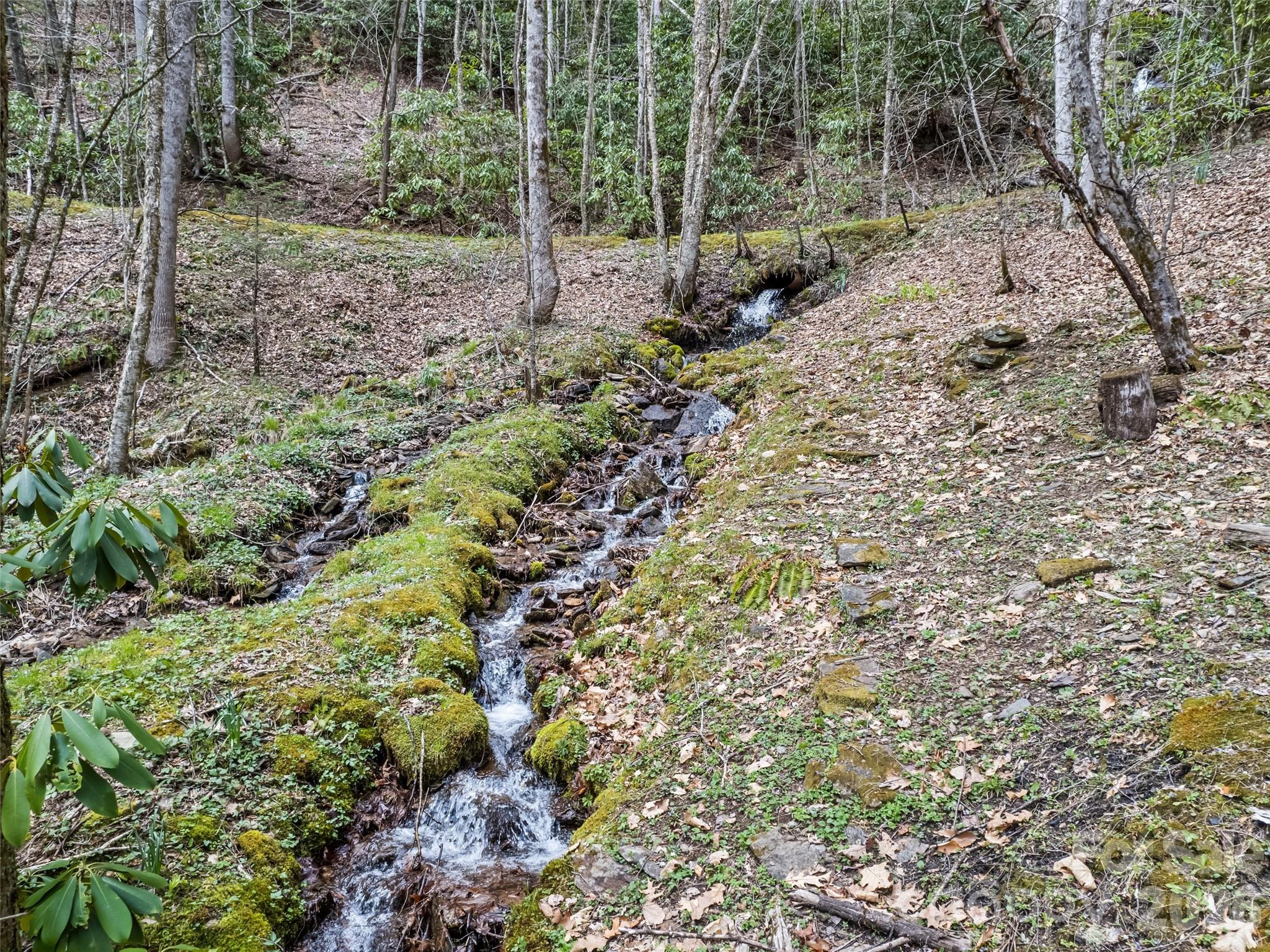 57 Grosbeak Trail Sylva NC 28779
