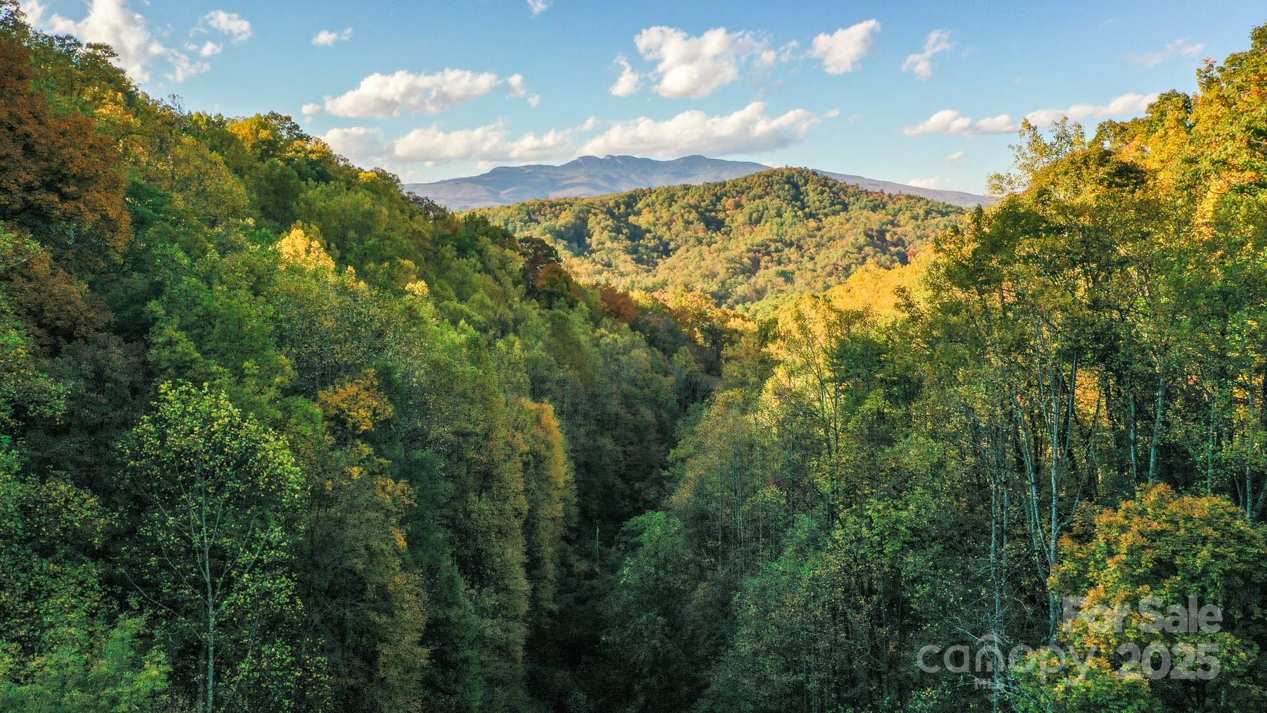 4189 Bristol Place Collettsville NC 28611