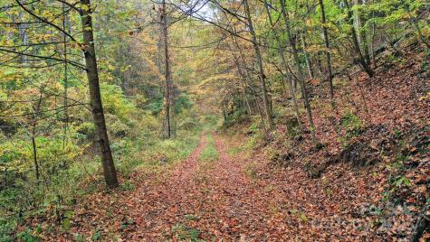 4189 Bristol Place Collettsville NC 28611