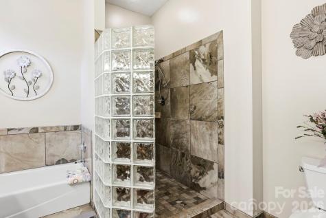 21 Tisha Lane Hendersonville NC 28739