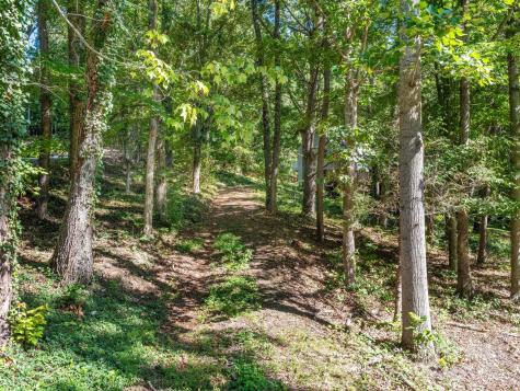 3 Crabapple Lane Candler NC 28715