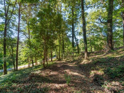 3 Crabapple Lane Candler NC 28715