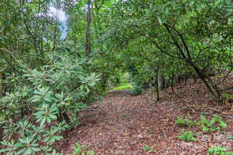 17198 Rosman Highway Lake Toxaway NC 28747