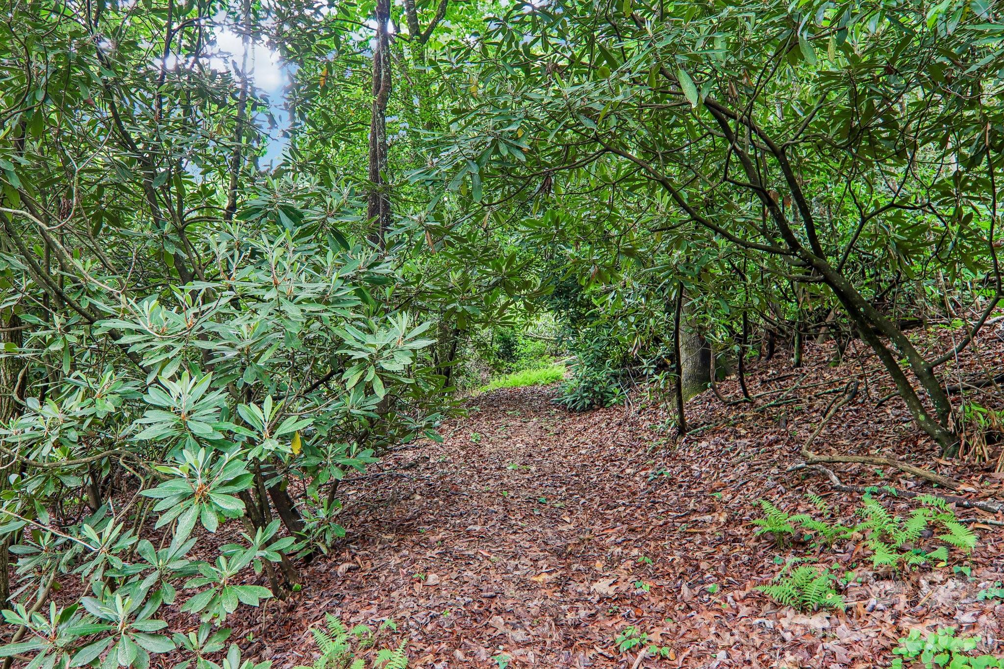 17198 Rosman Highway Lake Toxaway NC 28747