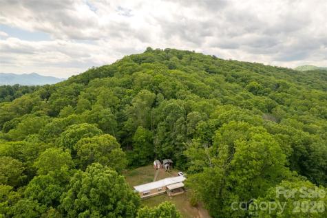 30 Gertrude Lane Candler NC 28715