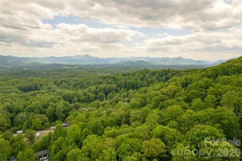 30 Gertrude Lane Candler NC 28715
