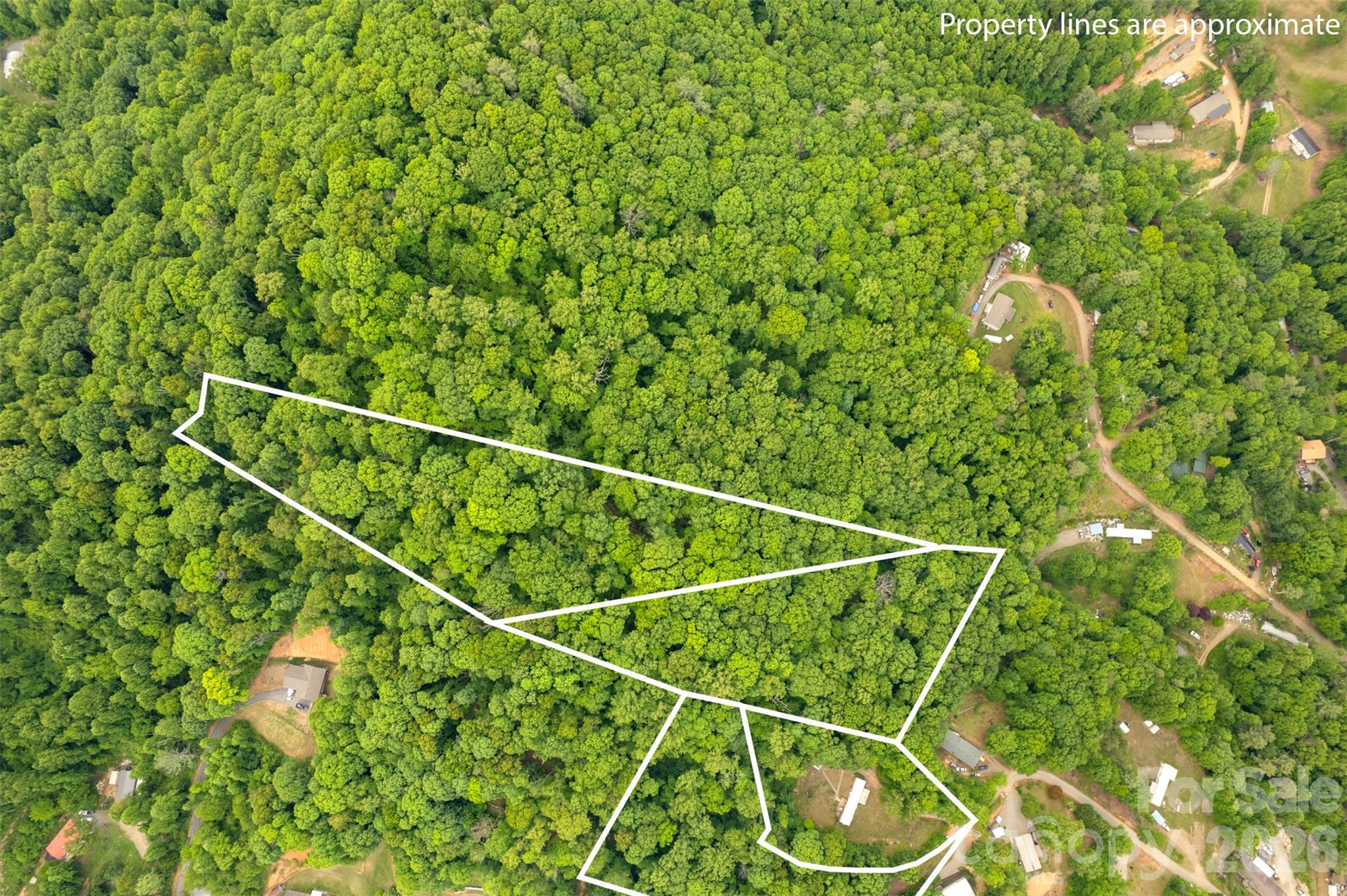30 Gertrude Lane Candler NC 28715