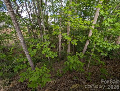 746 Ladino Lane Clover SC 29710