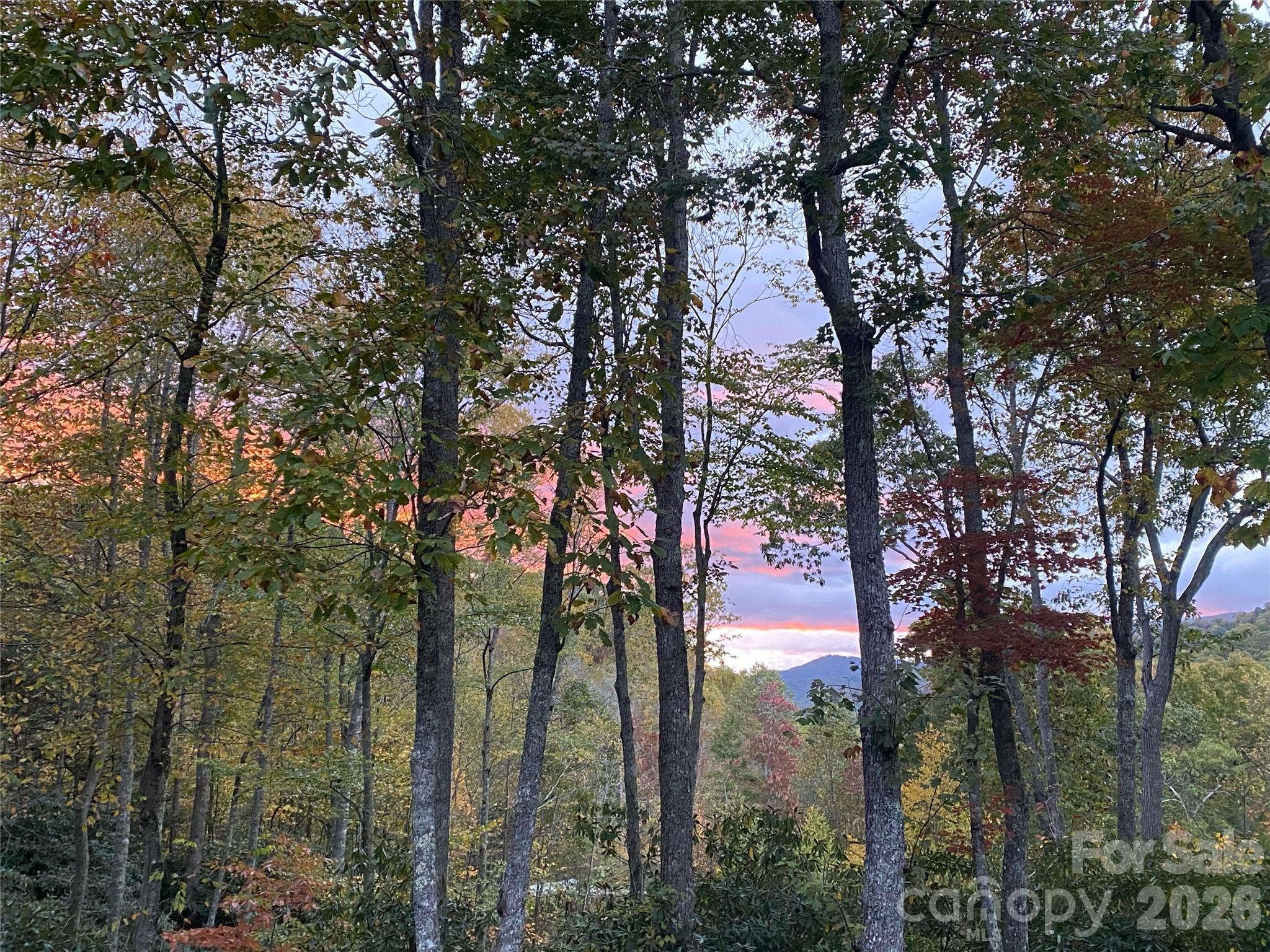 102 Carriage Drive Fairview NC 28730