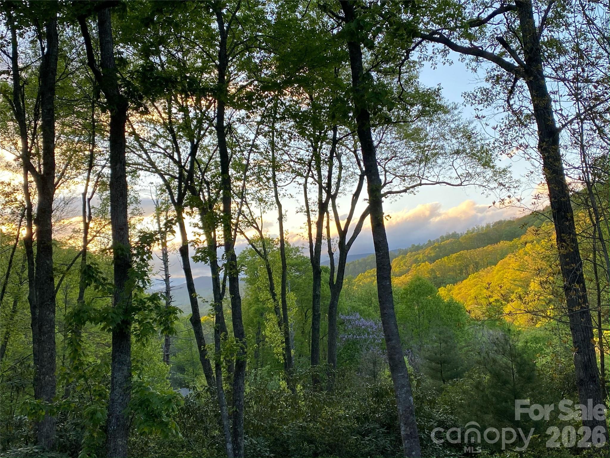 102 Carriage Drive Fairview NC 28730
