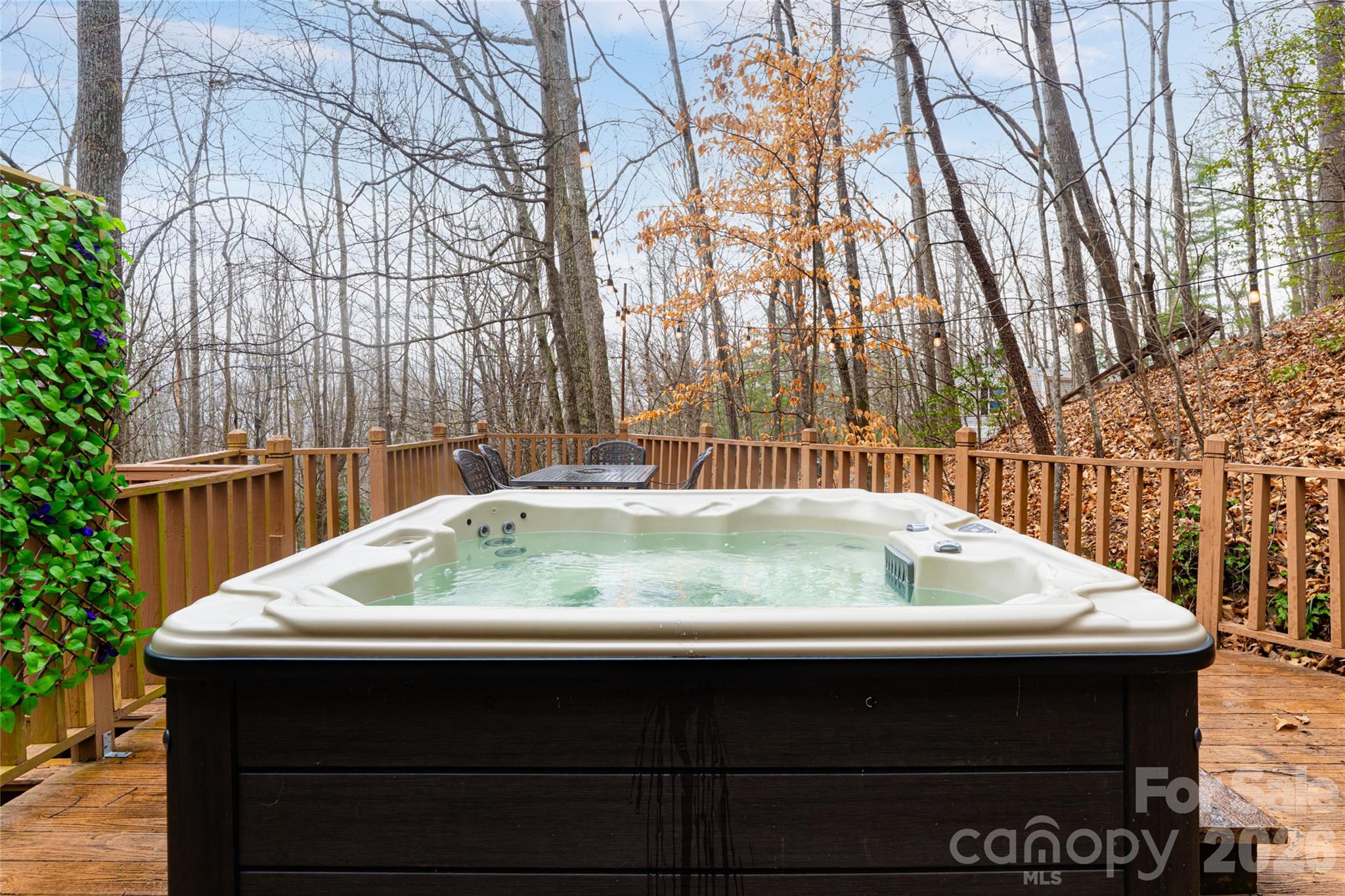 16 Rocky Glen Trail Black Mountain NC 28711