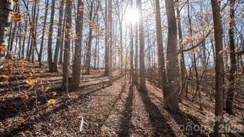 530 Upright Road Mt Ulla NC 28125