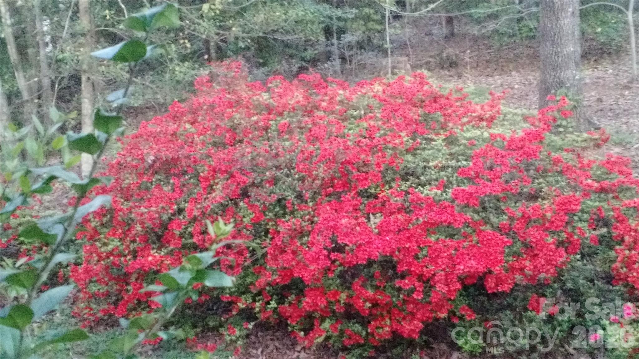 3065 Woodstream Drive Valdese NC 28690