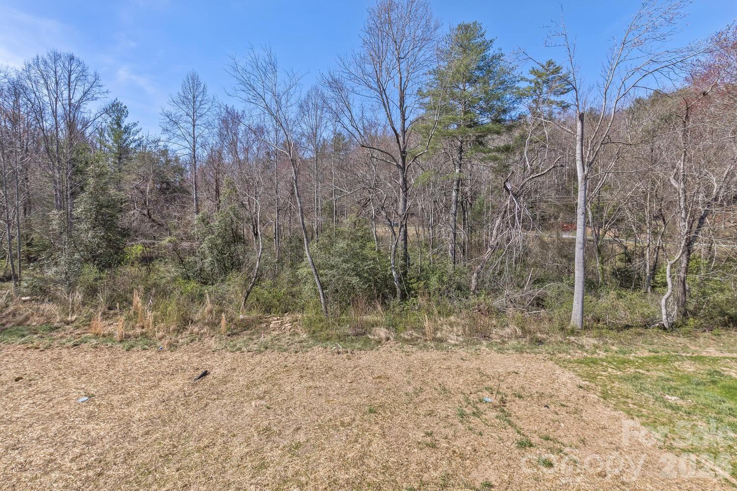 231 Edgewood Road S Asheville NC 28803