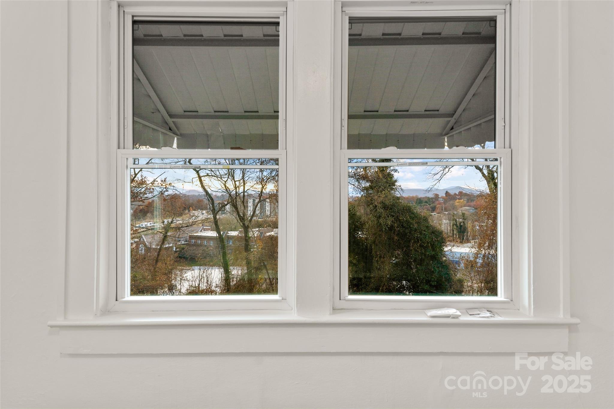 71 Buchanan Avenue Asheville NC 28801