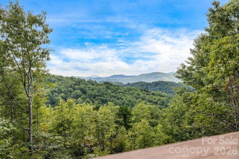 55 Glade Lane Black Mountain NC 28711