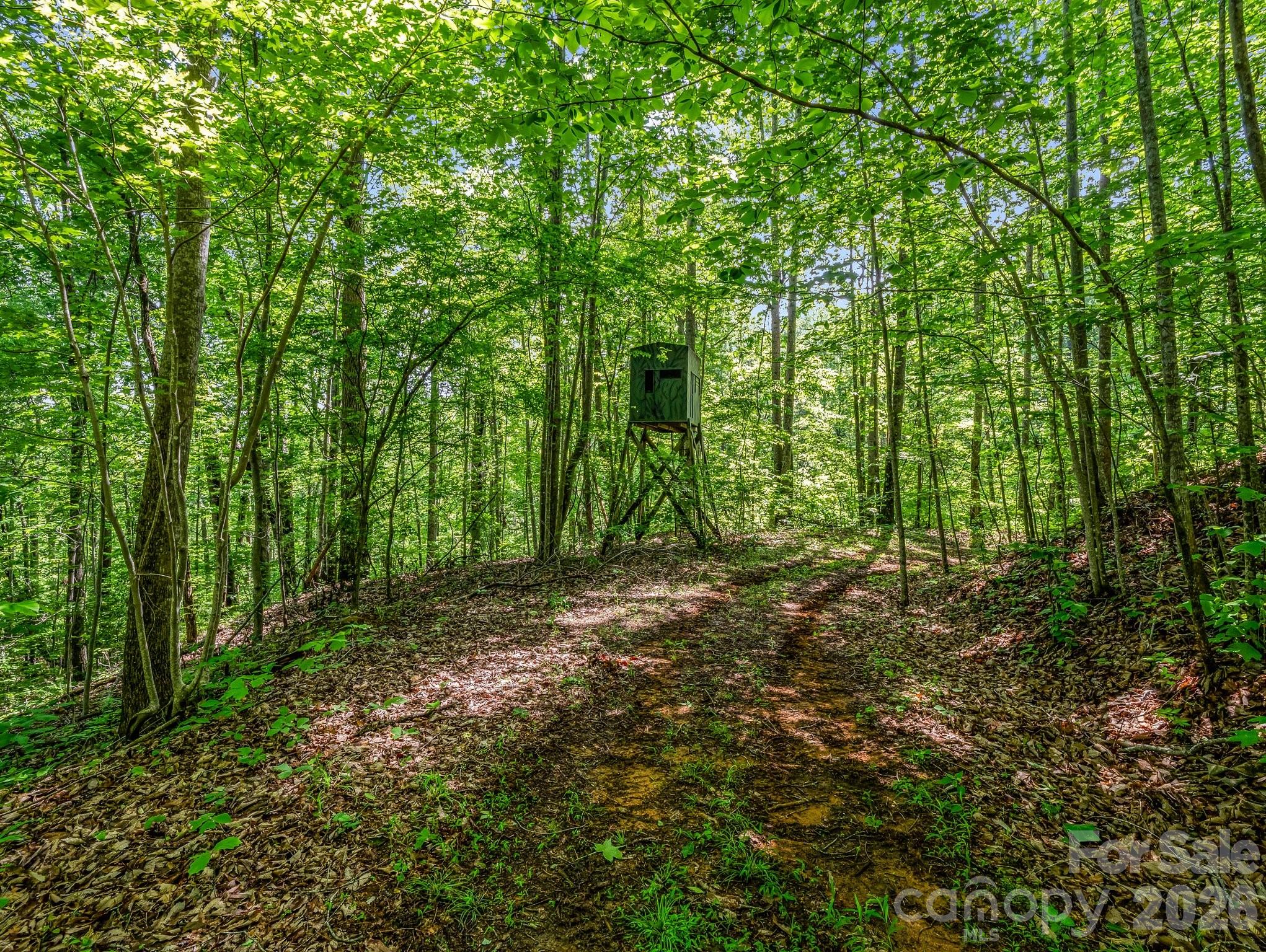 980 Mountain Forest Drive Union Mills NC 28167