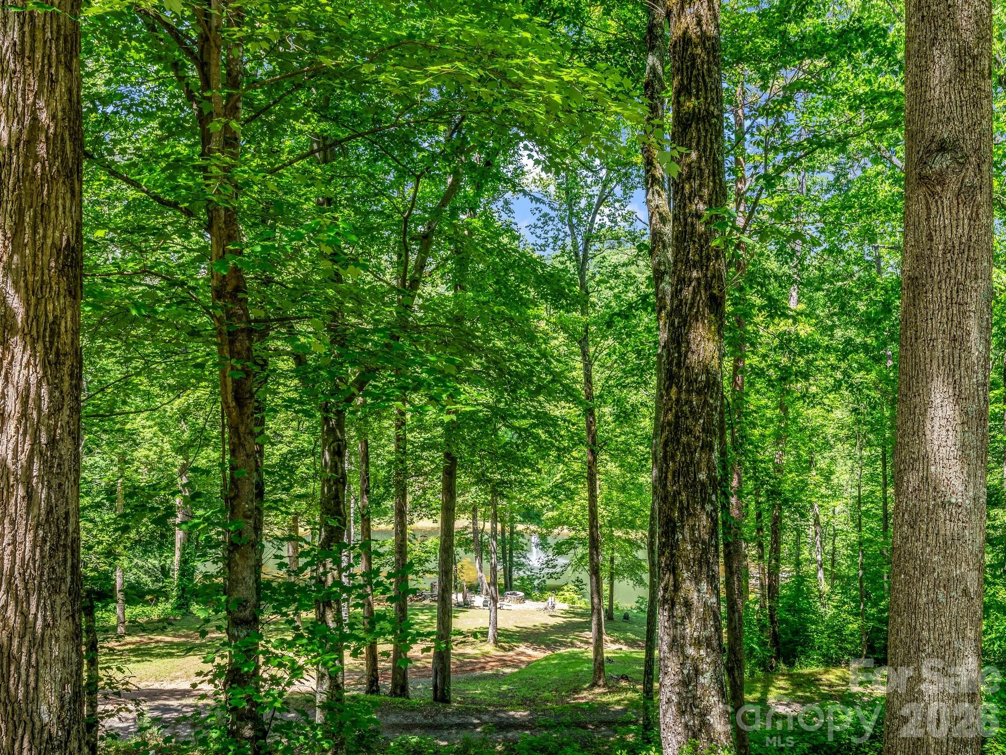980 Mountain Forest Drive Union Mills NC 28167