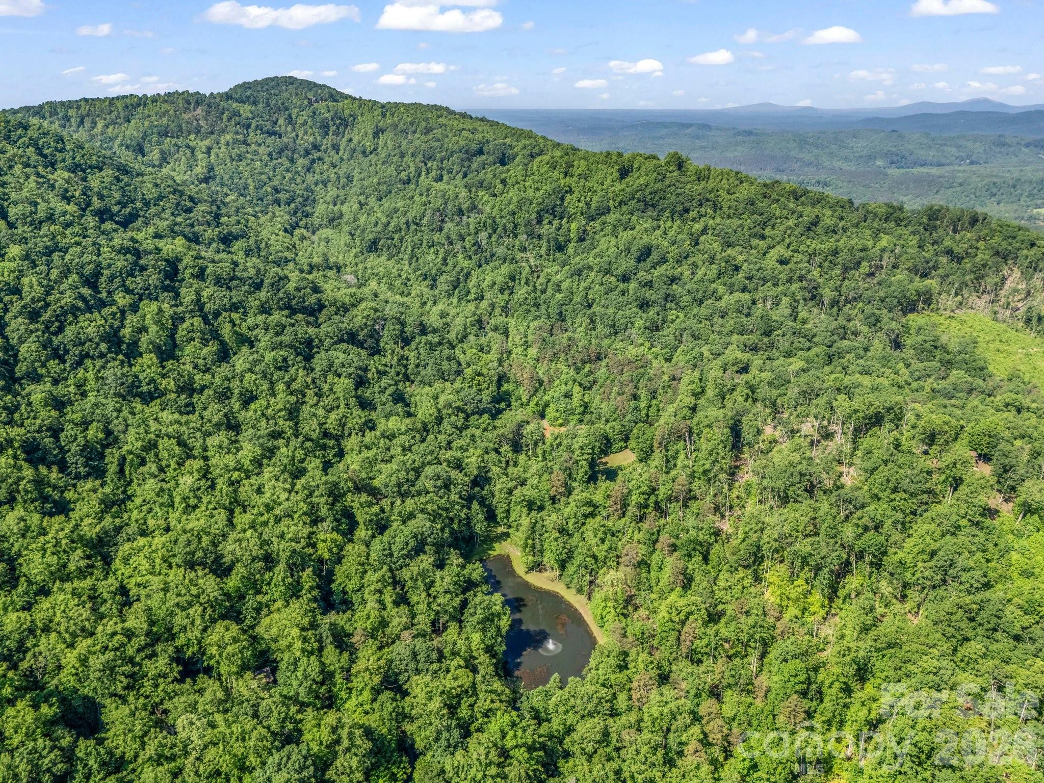 980 Mountain Forest Drive Union Mills NC 28167