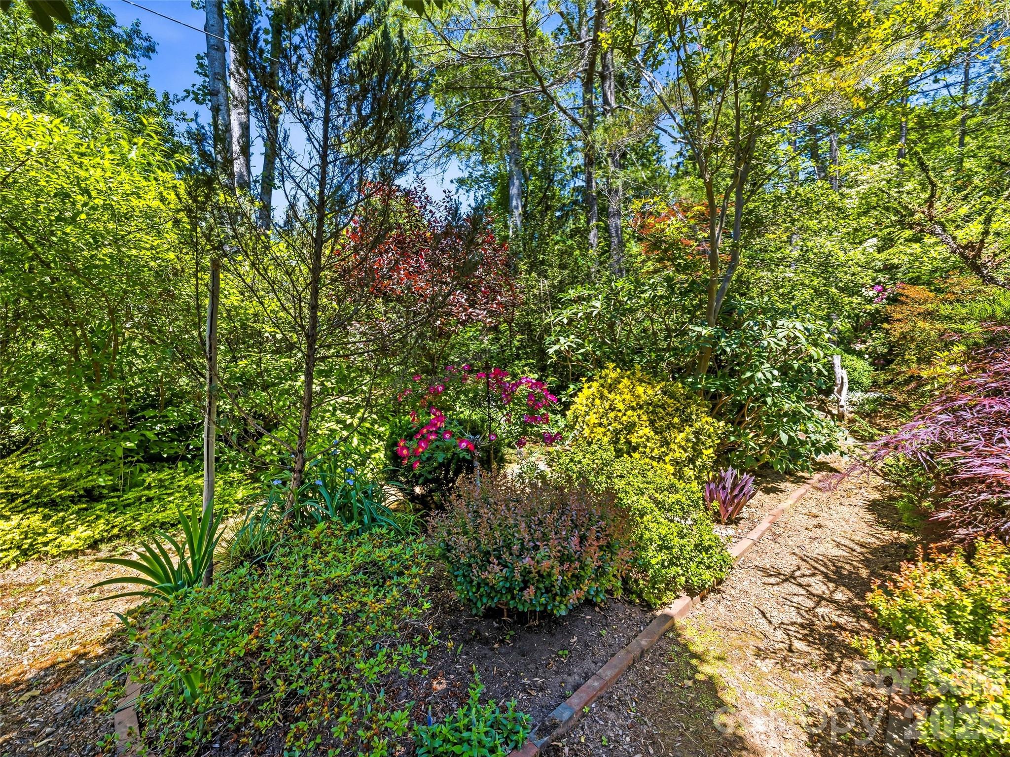 109 Stuyvesant Road Asheville NC 28803