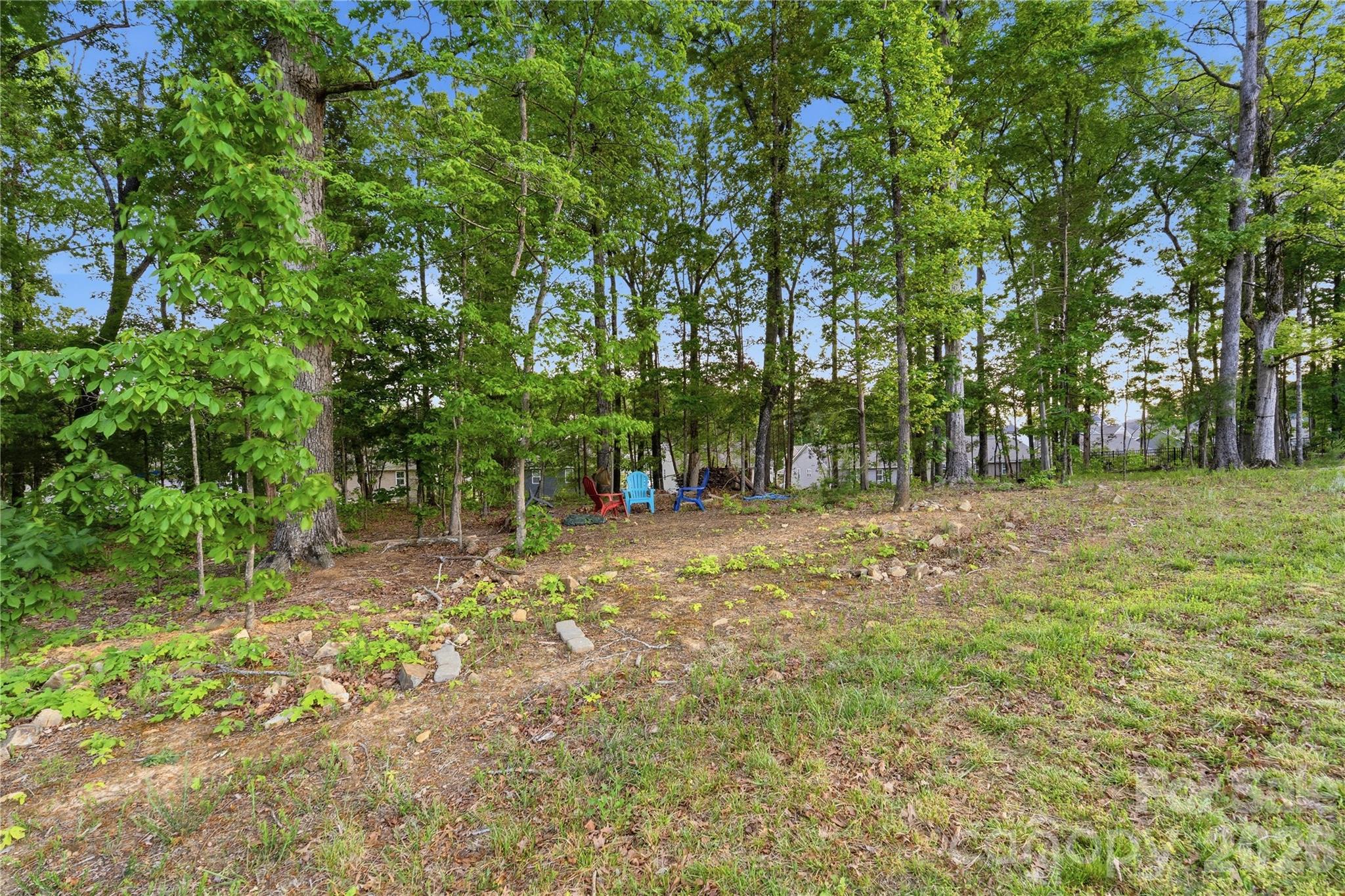 10158 Paper Birch Drive Charlotte NC 28215