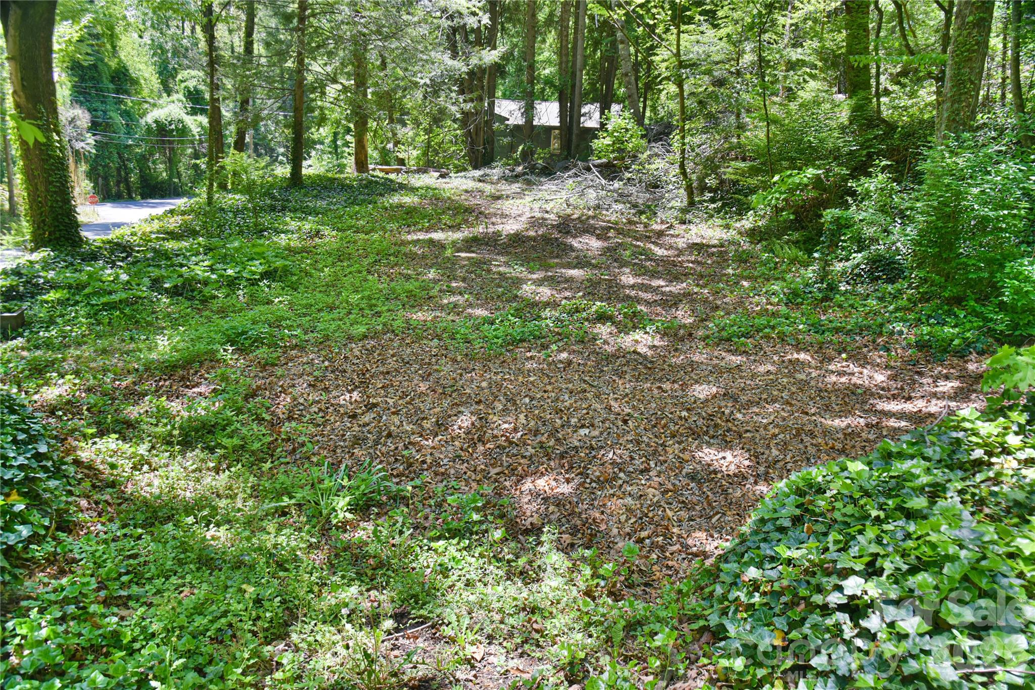 1 Hillcrest Lane Black Mountain NC 28711