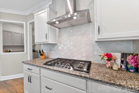 1163 Regions Boulevard Indian Land SC 29707