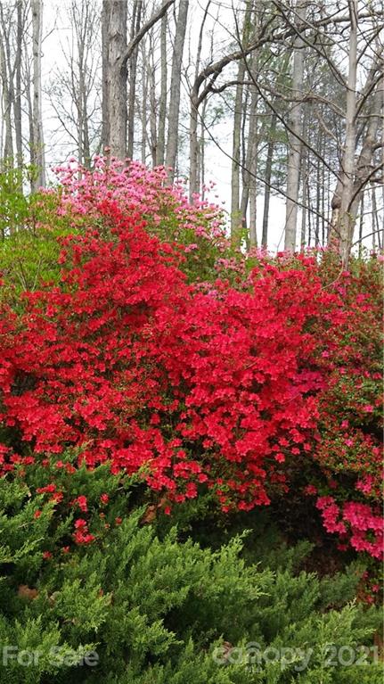 47 Sams Road Weaverville NC 28787