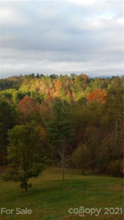 47 Sams Road Weaverville NC 28787