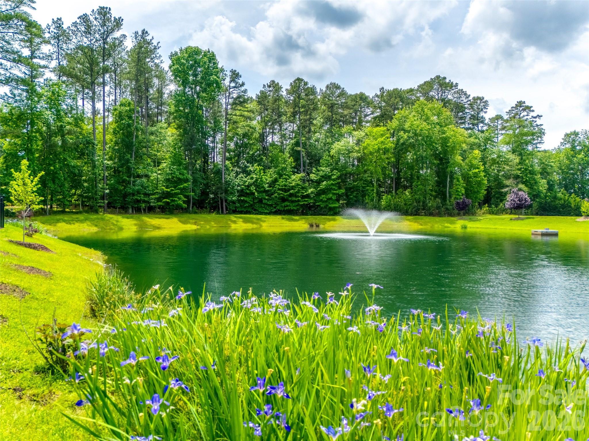 800 Hidden Pond Lane Waxhaw NC 28173