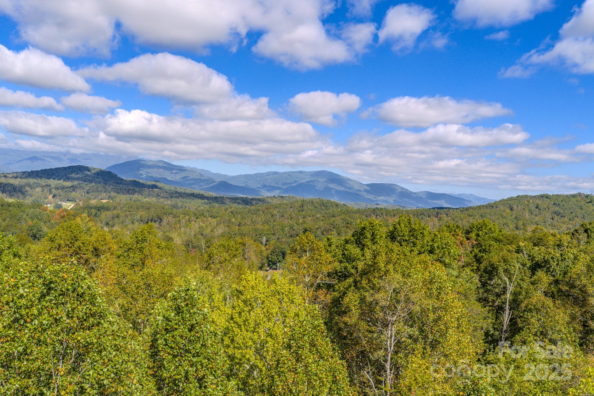 170 Midnight Sun Lane Old Fort NC 28762