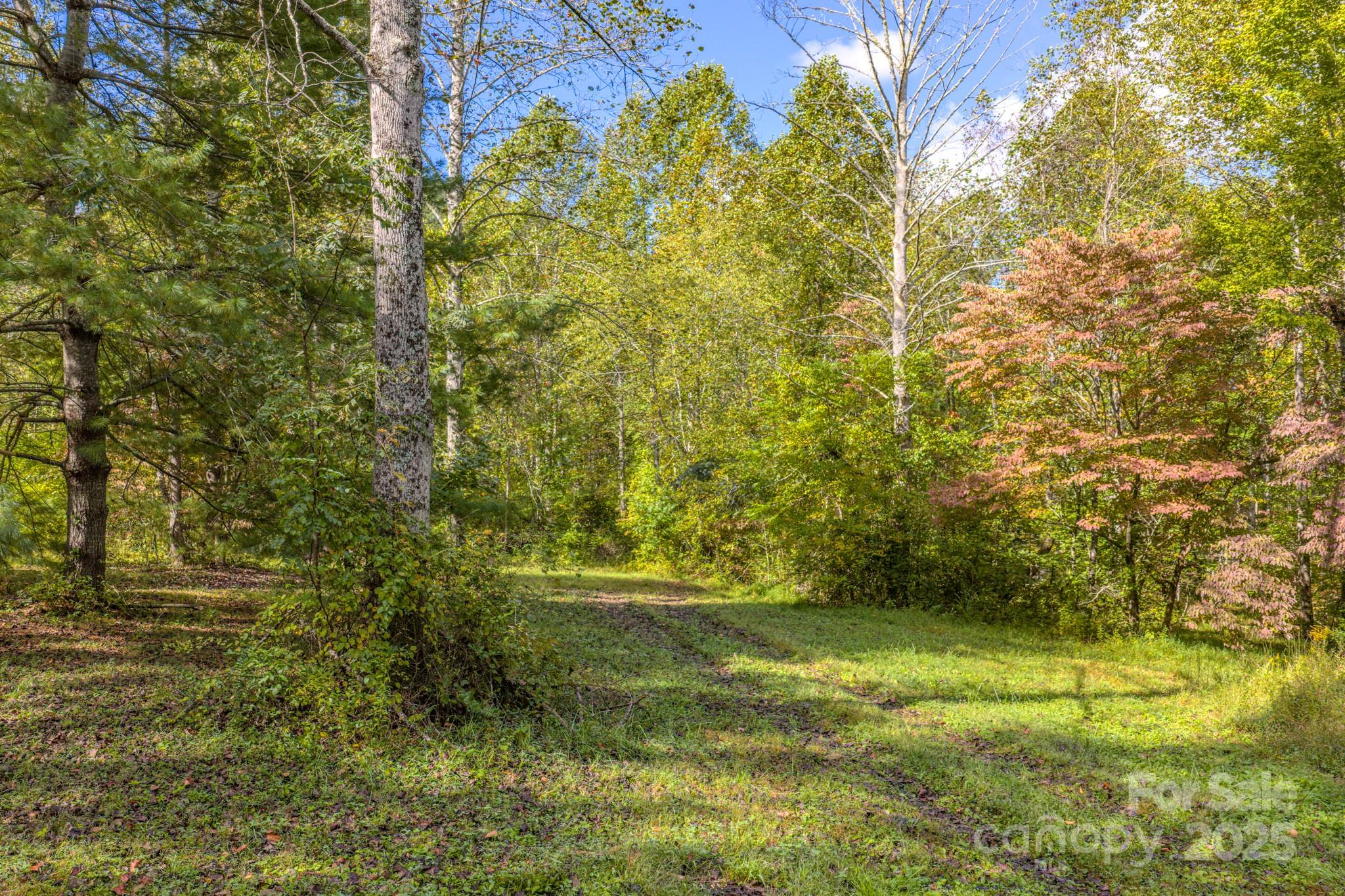 170 Midnight Sun Lane Old Fort NC 28762