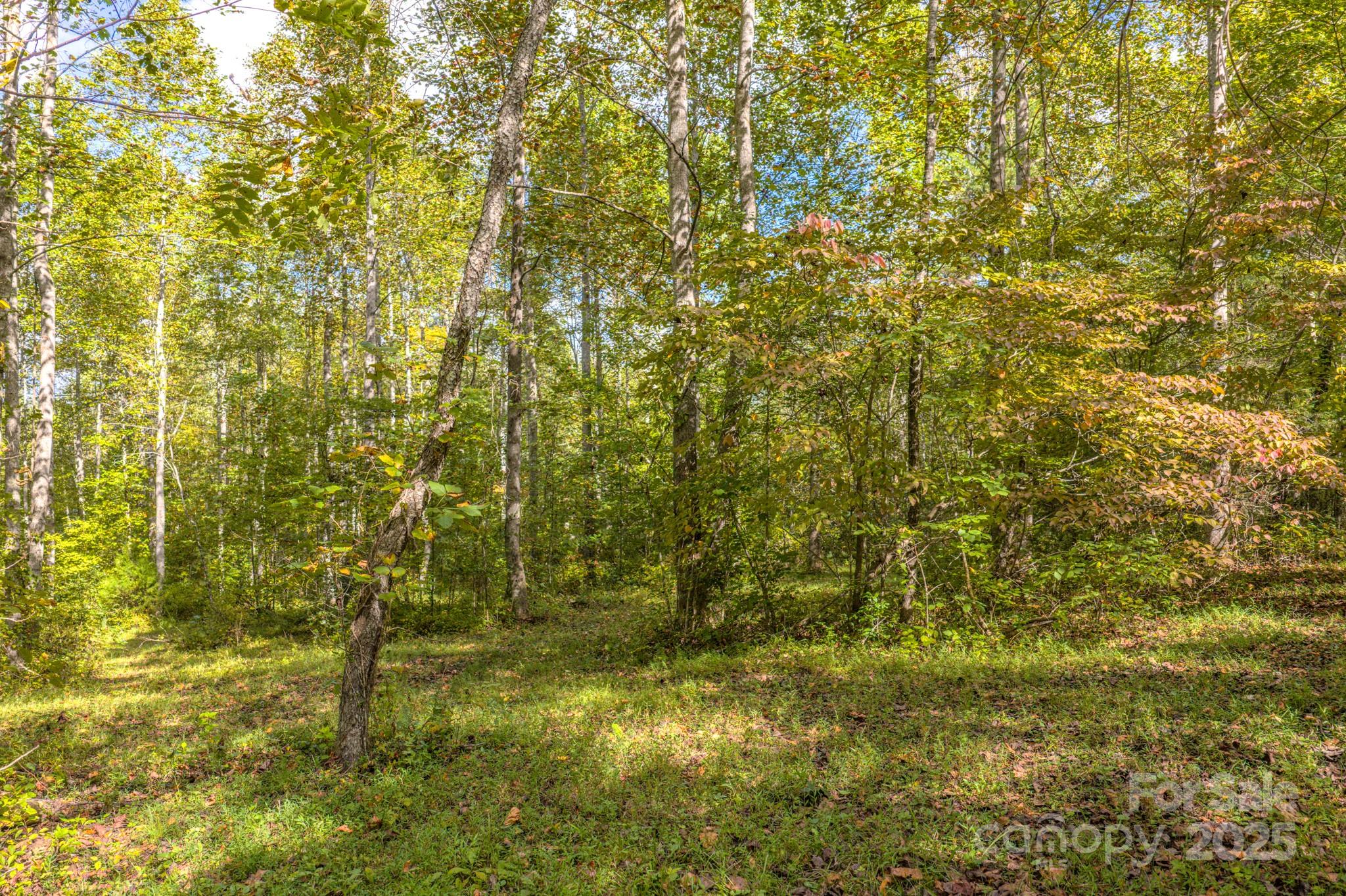 170 Midnight Sun Lane Old Fort NC 28762