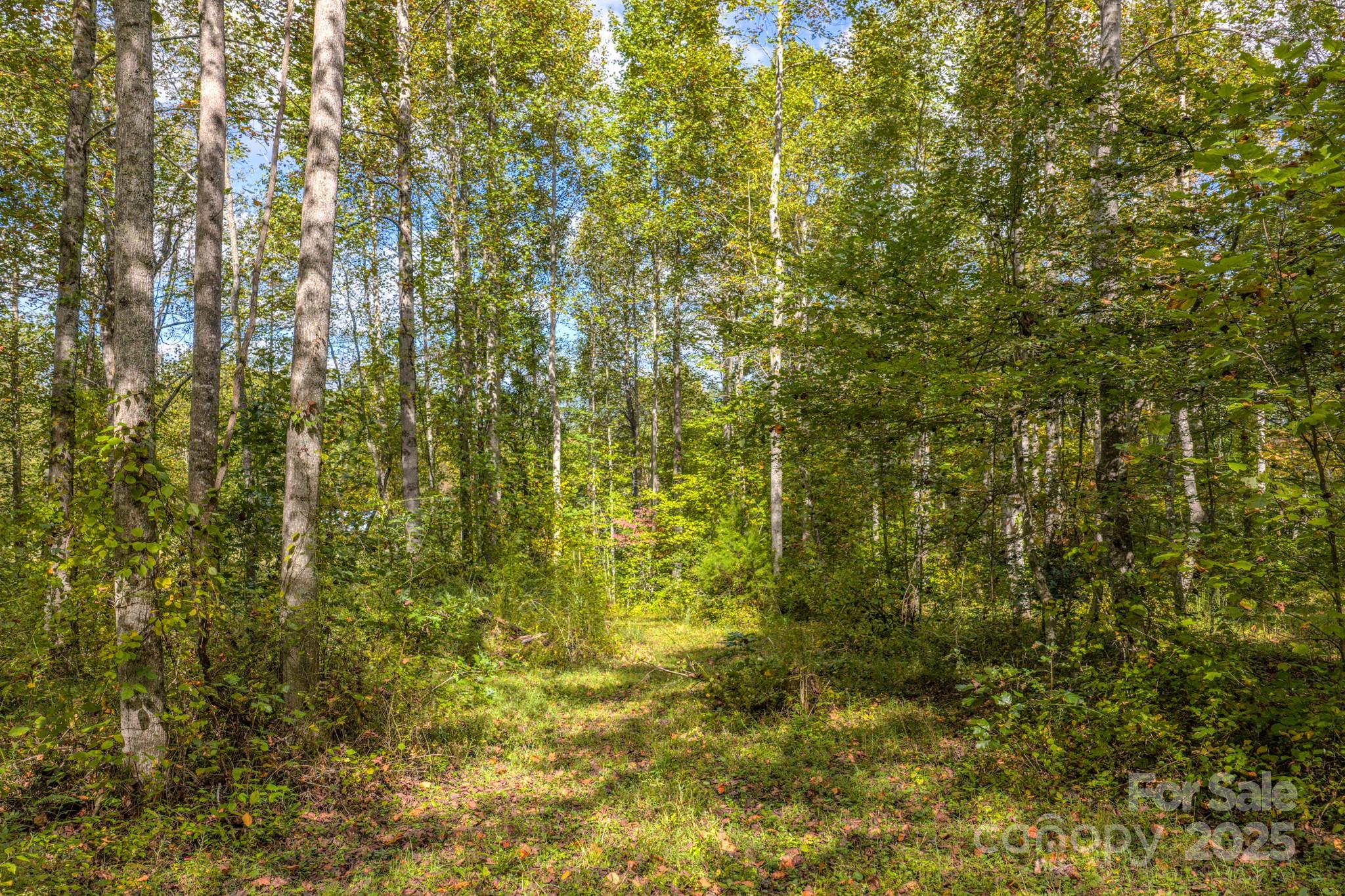 170 Midnight Sun Lane Old Fort NC 28762