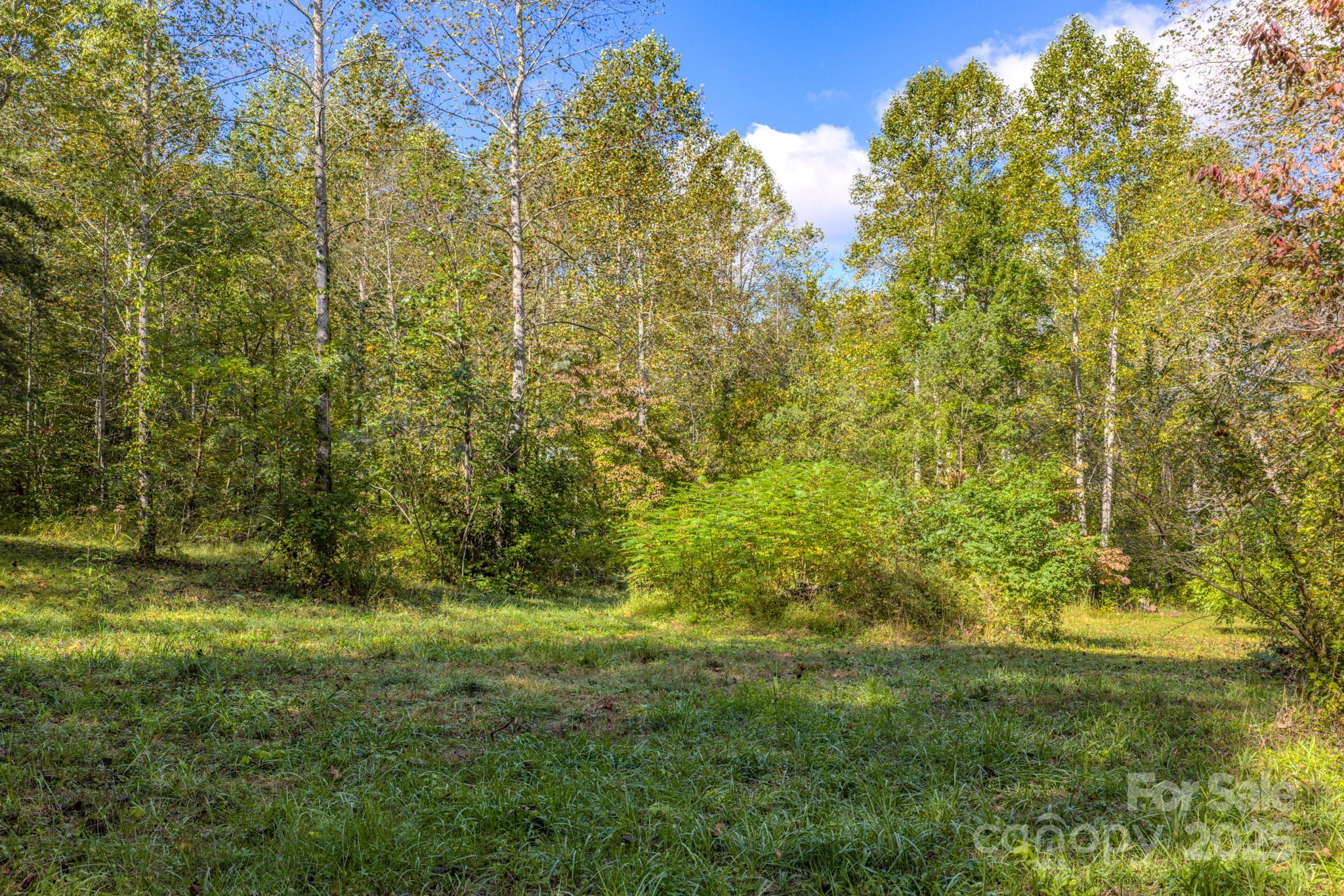 170 Midnight Sun Lane Old Fort NC 28762