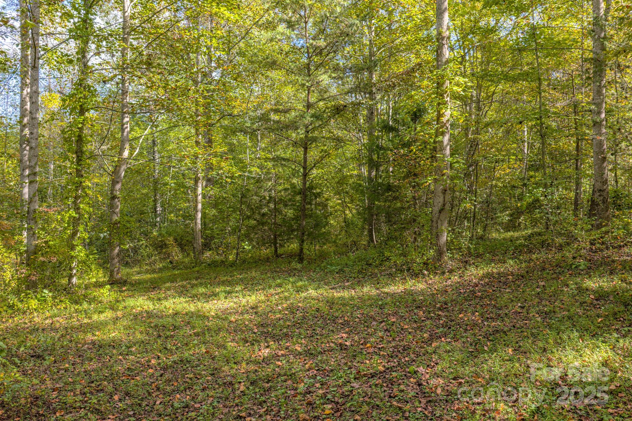 170 Midnight Sun Lane Old Fort NC 28762