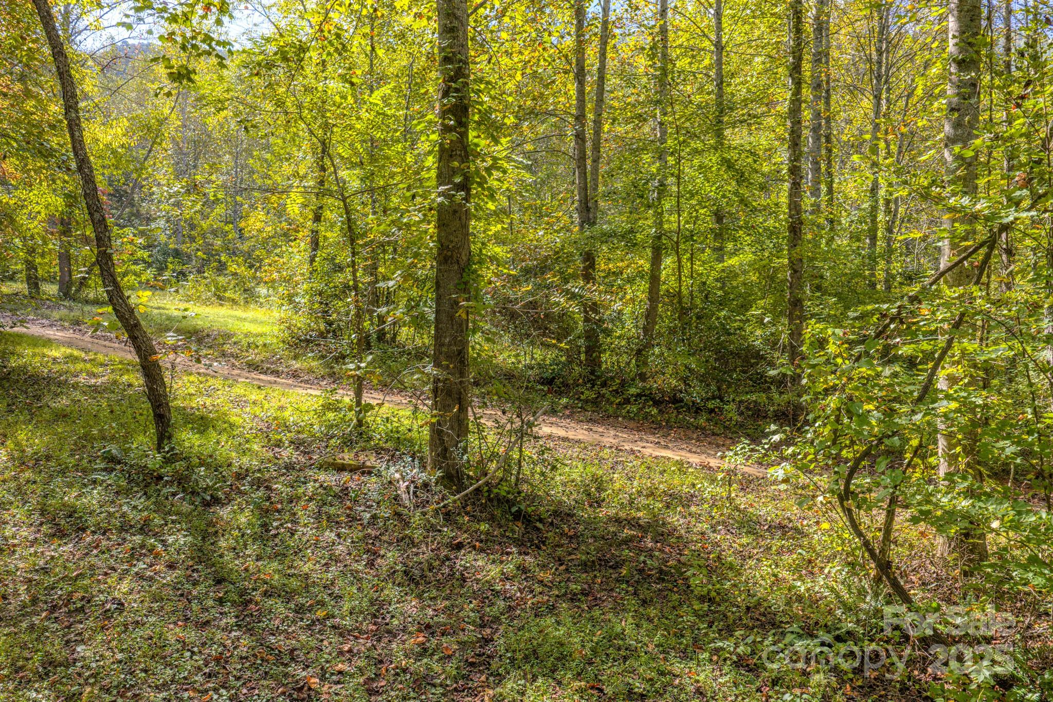 170 Midnight Sun Lane Old Fort NC 28762