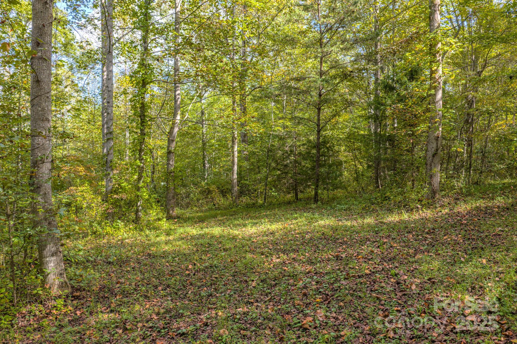 170 Midnight Sun Lane Old Fort NC 28762